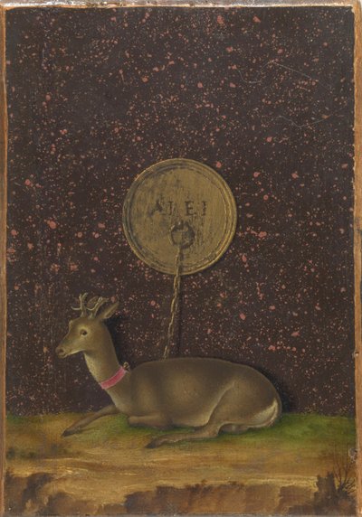 Portrait of Alvise Contarini; (verso) A Tethered Roebuck by Jacometto Veneziano