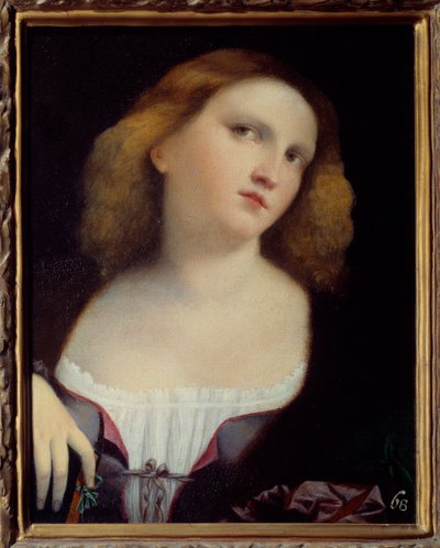 Portrait of Woman by Jacopo (c.1480 1528) Palma