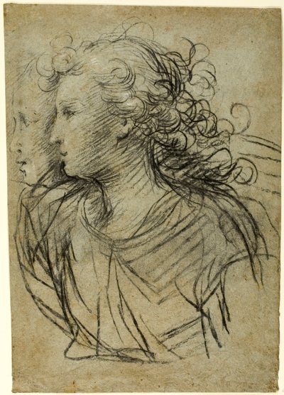 Half-Length View of Female in Profile to Left (recto); Half-Length view of Figure in Three-Quarter Profile (verso) by Jacopo Confortini