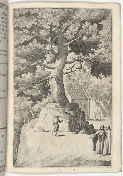 Beech Tree with the Bell (plate X) by Jacopo Ligozzi