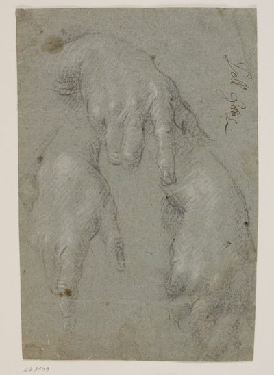 Three Studies of a Right Hand by Jacopo Palma