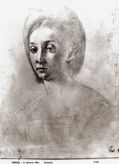 Head of a Woman by Jacopo Pontormo