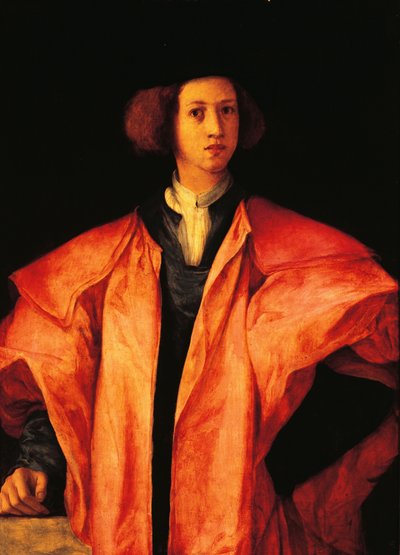 Portrait of young man, perhaps Amerigo Antinori, by Jacopo Carucci, known as Pontormo by Jacopo Pontormo