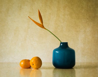 Tropical Bloom and Oranges by Jacqueline Hammer