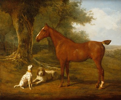 A Chestnut Hunter with a Briard and a Dalmatian by Jacques Laurent Agasse