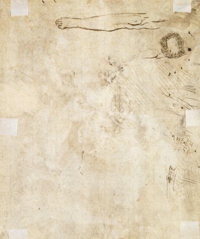 Study of a Leg, Flourish, and Doodles, 1610-17 by Jacques Bellange