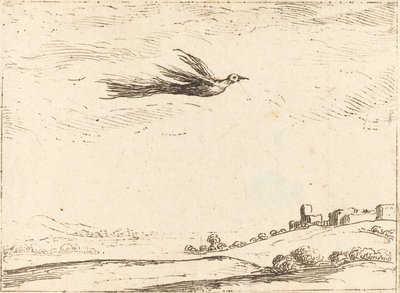 Bird of Paradise by Jacques Callot