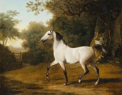 A Grey Arab Stallion in a Wooded Landscape by Jacques Laurent Agasse