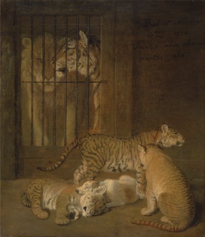 Group of Whelps Bred between a Lion and a Tigress by Jacques Laurent Agasse