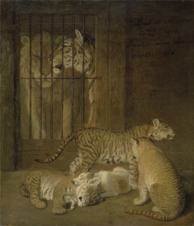 Group of whelps bred between a lion and a tigress by Jacques Laurent Agasse