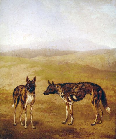 Two African Hunting Dogs by Jacques Laurent Agasse