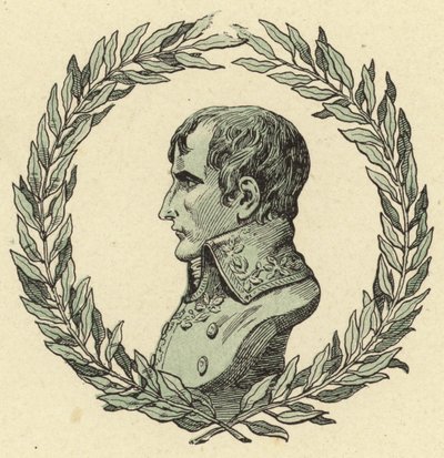 Bust of Napoleon Bonaparte by Jacques Marie Gaston Onfray de Breville (Job)