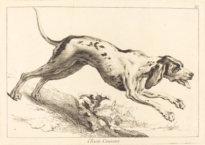 Running Hound by Jacques Philippe Le Bas and Jean Eric Rehn after Jean Baptiste Oudry