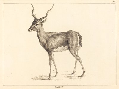 Gazelle by Jacques Philippe Le Bas and Jean Eric Rehn after Jean Baptiste Oudry