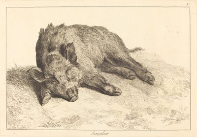 Wild Boar Lying Down, Head to the Left by Jacques Philippe Le Bas and Jean Eric Rehn after Jean Baptiste Oudry