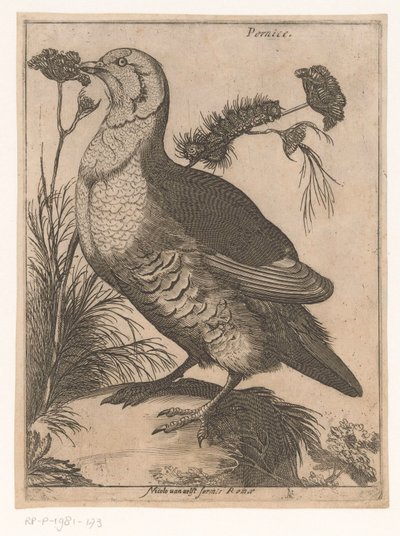 Partridge by Jacques de Fornazeris