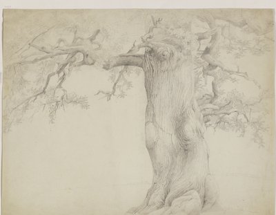 Old Tree by Jakob Becker