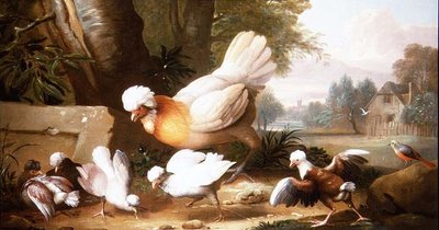 Poultry and Pigeons in a Landscape by Jakob Bogdani or Bogdany