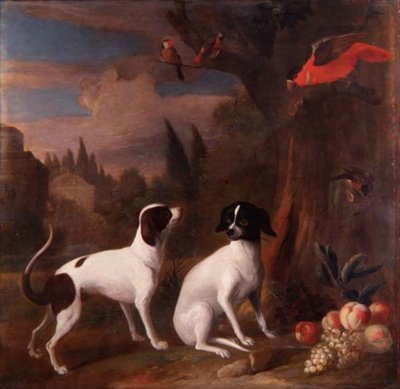 Two Dogs in a Landscape by Jakob Bogdani or Bogdany