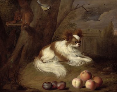 Unknown Image by Jakob Bogdani or Bogdany