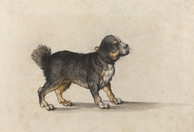 A Mastiff with a Gold-Tooled Collar by Jakob Walther