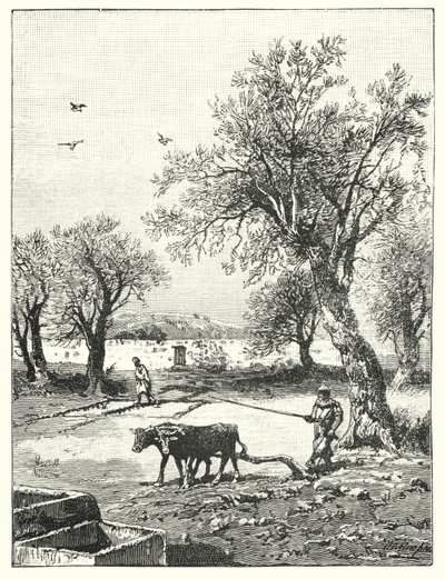 Plowing in a Vineyard by James (after) Clark