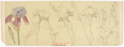 Botanical Studies by James Atherton