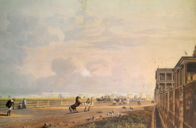 View of Esplanade Row from the Chouringhee Road, Calcutta, engraved by Robert Havell, published 1824 by James Baillie Fraser