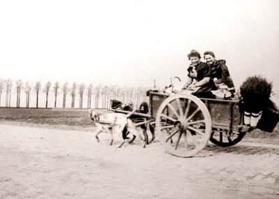 Dogs Pulling Women on a Cart, Antwerp, 1898 by James Batkin
