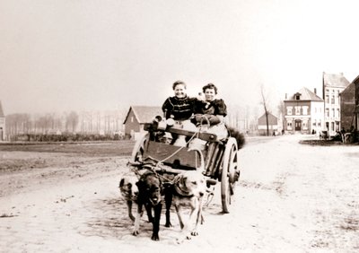 Dogs Pulling Women on a Cart, Antwerp, 1898 by James Batkin