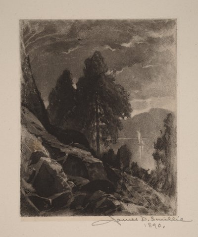 Untitled (Experiment—Wet Aquatint) by James David Smillie