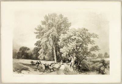 Abele and Oak, from The Park and the Forest by James Duffield Harding