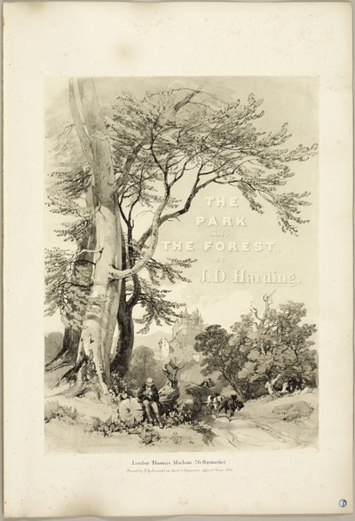 Beech and Oak (Frontispiece), from The Park and the Forest by James Duffield Harding