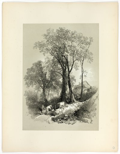 Shipley Bridge, Devon, from Picturesque Selections by James Duffield Harding