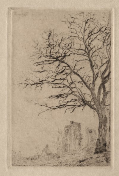 Acacia by James Ensor