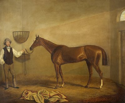 Bravissimo, Winner of the Monmouthshire Hunt Cup at Abergavenny by James Flewitt Mullock