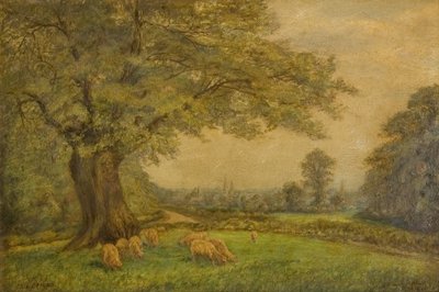 The Spires of Coventry from afar by James Henry Bambrick