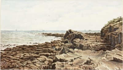 Tynemouth from Sharpness Point by James Henry Cleet