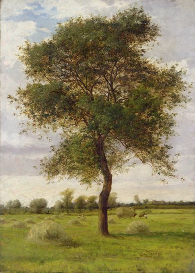 Study of an Ash Tree in Summer by James Hey Davies