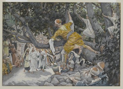 Zaccheus in the Sycamore Awaiting the Passage of Jesus, illustration from The Life of Our Lord Jesus Christ by James Jacques Joseph Tissot