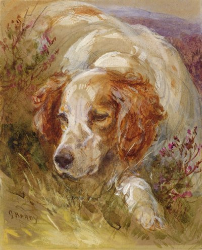 A Spaniel by James Jnr Hardy