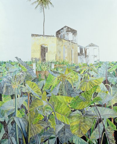 Ruin in a Swamp, Haiti by James Reeve