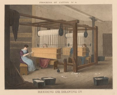 Progress of Cotton: #9 - Reeding or Drawing In by James Richard Barfoot