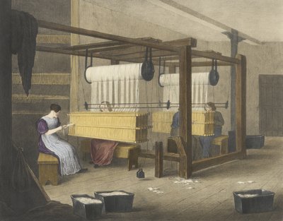 Reeding or Drawing in, Progress of Cotton No. 9 by James Richard Barfoot
