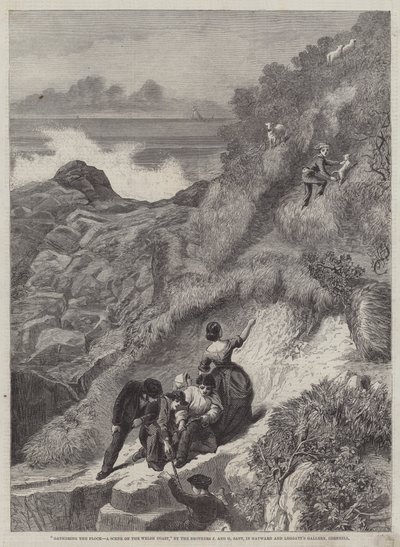 Gathering the Flocks, a Scene on the Welsh Coast by James Sant