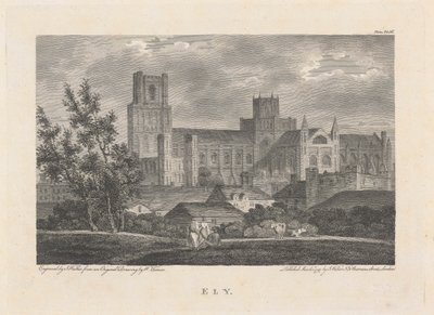 Ely by James Walker