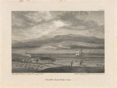 Flint, from Park-Gate by James Walker