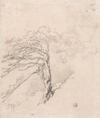 Tree on a Hillside by James Ward
