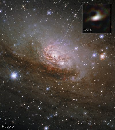 Circinus Galaxy by James Webb Space Telescope (NASA)