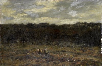 Fen on the Heath by Jan Adam Zandleven